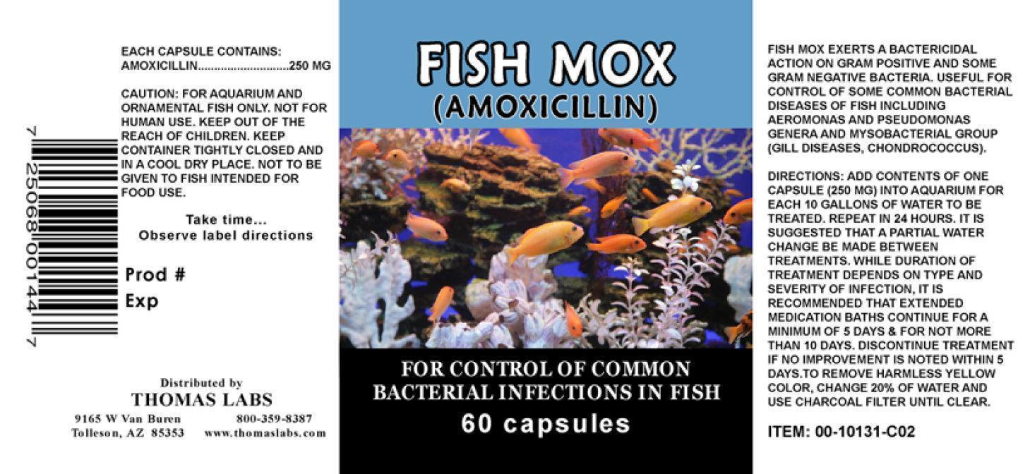 fish antibiotics for humans amoxicillin