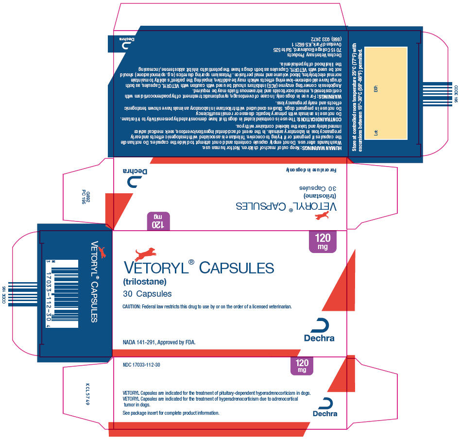 PRINCIPAL DISPLAY PANEL - 120 mg Capsule Blister Pack Package