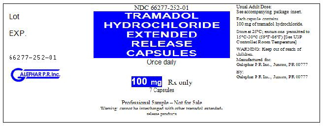 Principal Display Panel – 100 mg Bottle Label
