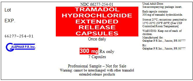 Principal Display Panel – 300 mg Bottle Label
