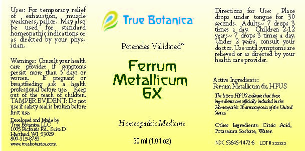 Ferrum Metallicum 6X_30ml_V1