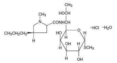 Structure-Lincomycin Injection