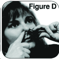 Figure D