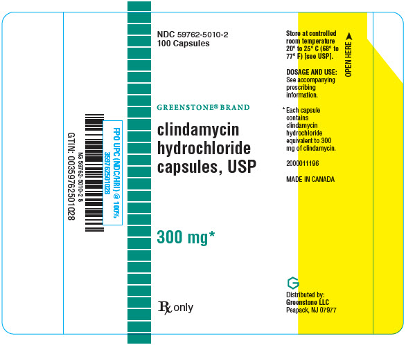 PRINCIPAL DISPLAY PANEL - 300 mg 100 Capsule Bottle Label