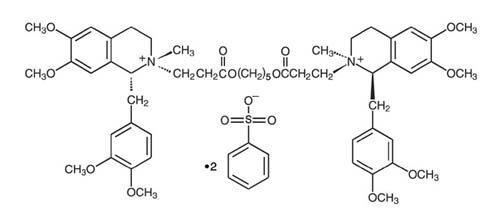 Nimbex Structure