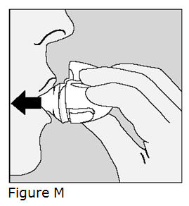 Figure M