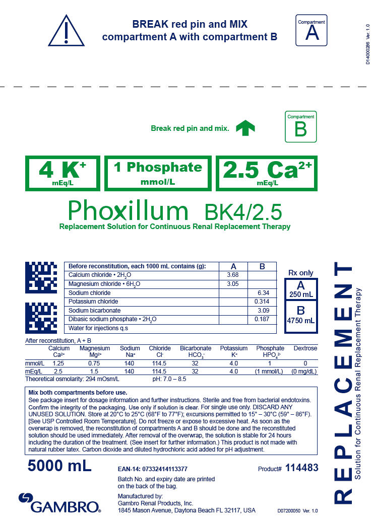 PRINCIPAL DISPLAY PANEL - 5000 mL Bag Label - BK4/2.5