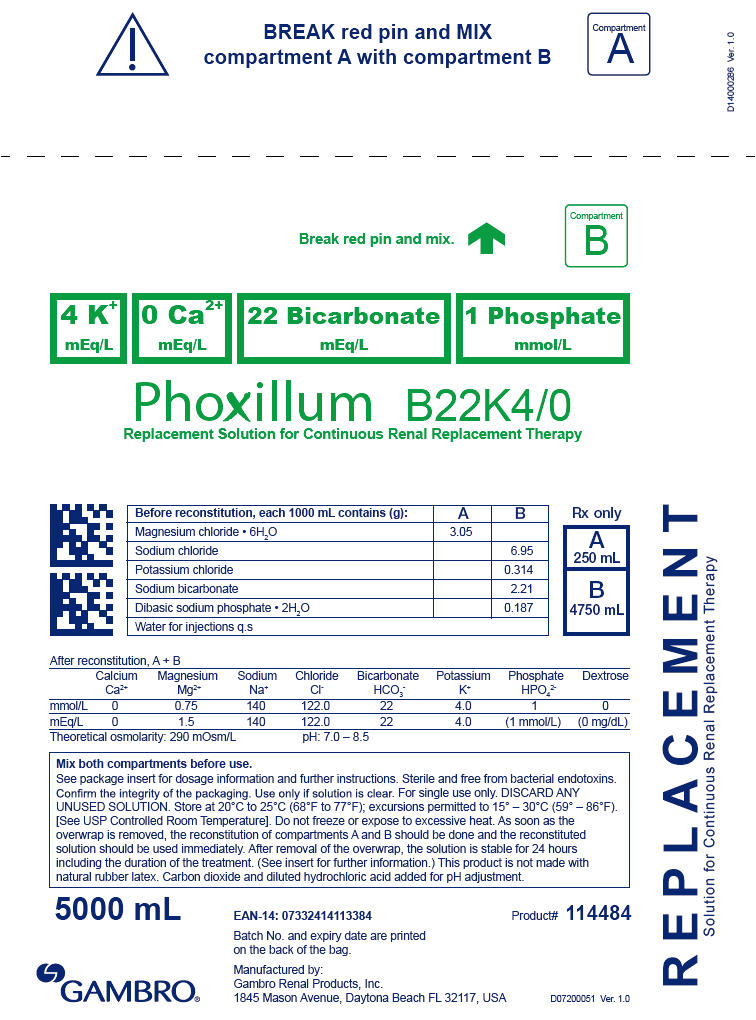 PRINCIPAL DISPLAY PANEL - 5000 mL Bag Label - B22K4/0