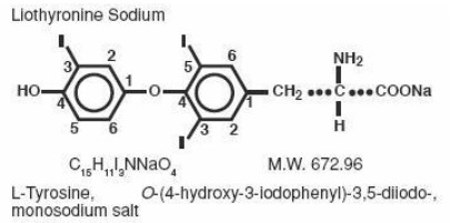 Molecular Level