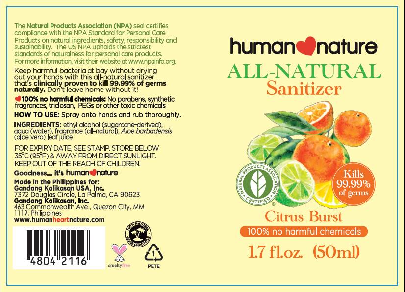 All-Natural Sanitizer Citrus Burst 50ml PDP