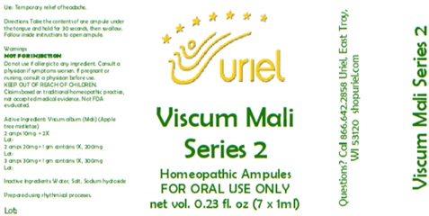 Viscum Mali Series 2 Ampule