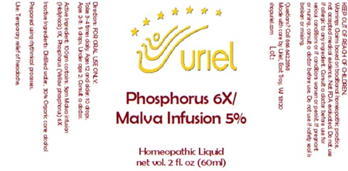 Phosphorus 6x Malva Infusion 5 Liquid