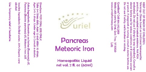 PancreasMeteoricIronLiquid