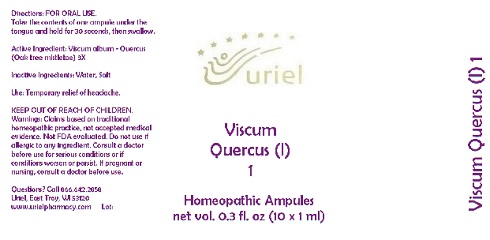 ViscumQuercusI1Ampules