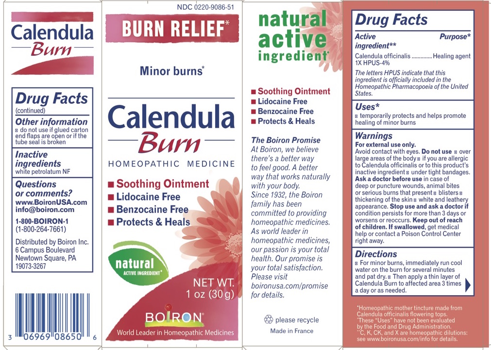 Calendula Burn box