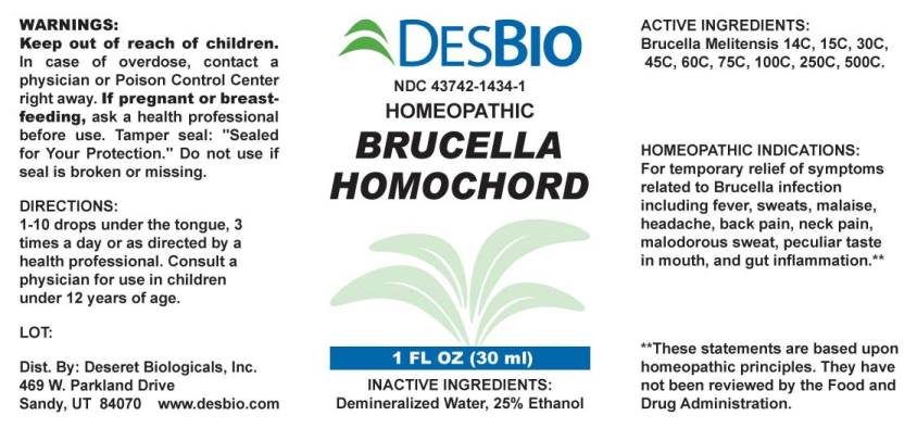 Brucella Homochord