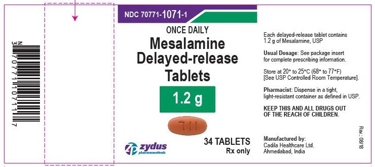Mesalamine DR Tablets, 1.2 g