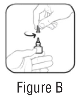 Figure B