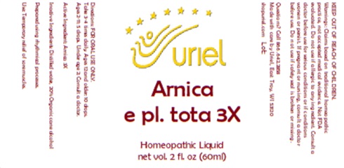 Arnica e pl. tota 3X Liquid