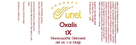 Oxalis 1X Ointment