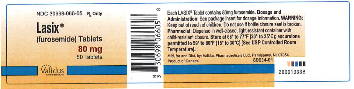 PRINCIPAL DISPLAY PANEL
NDC: <a href=/NDC/30698-066-05>30698-066-05</a>
Lasix
(furosemide)Tablets
80 mg
50 Tablets
Rx Only
