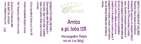 ArnicaEPlTota12Pellets