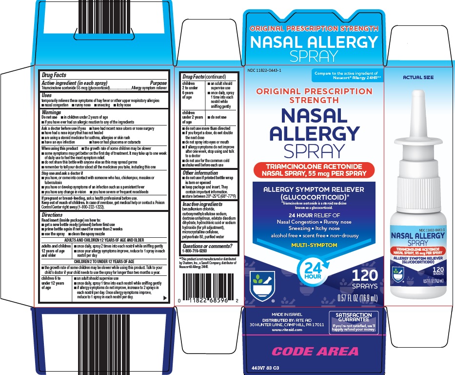 nasal allergy spray image