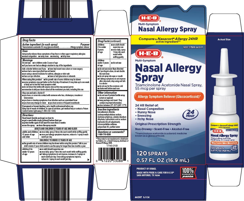 nasal allergy spray image