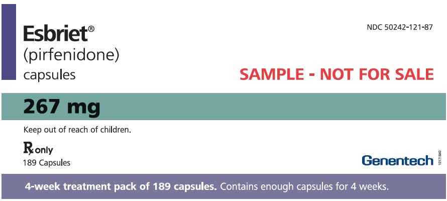 PRINCIPAL DISPLAY PANEL - 267 mg Tablet Bottle Carton