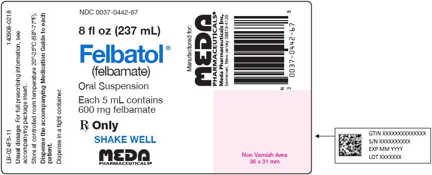 Felbatol Oral Suspension 600 mg Bottle Label