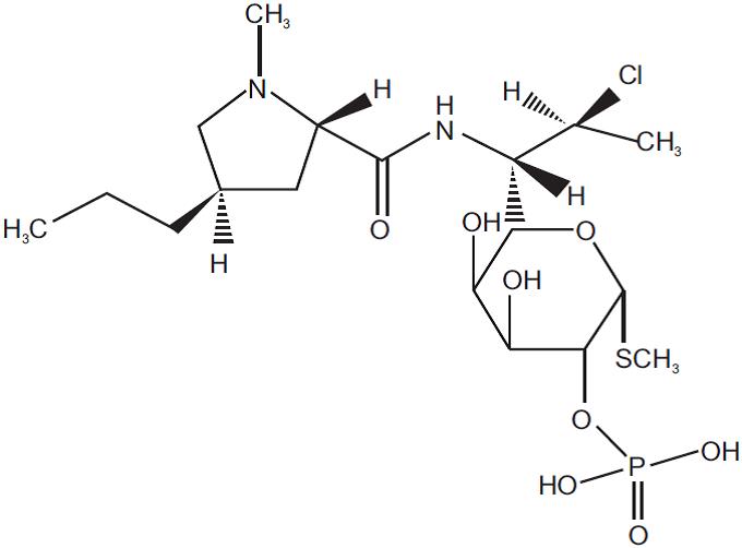 clinda-structure.jpg