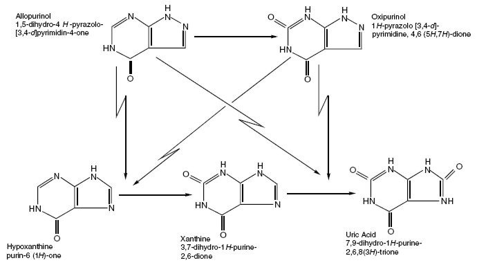 Structural Analogue : Allopurinol Tablets