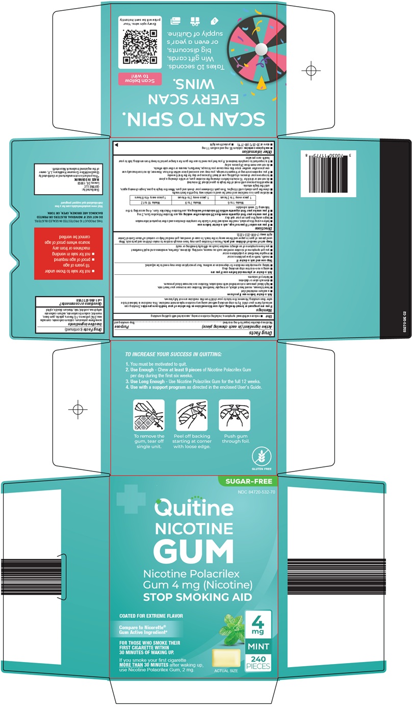 quitine-nicotine-gum-mint-carton-image.jpg