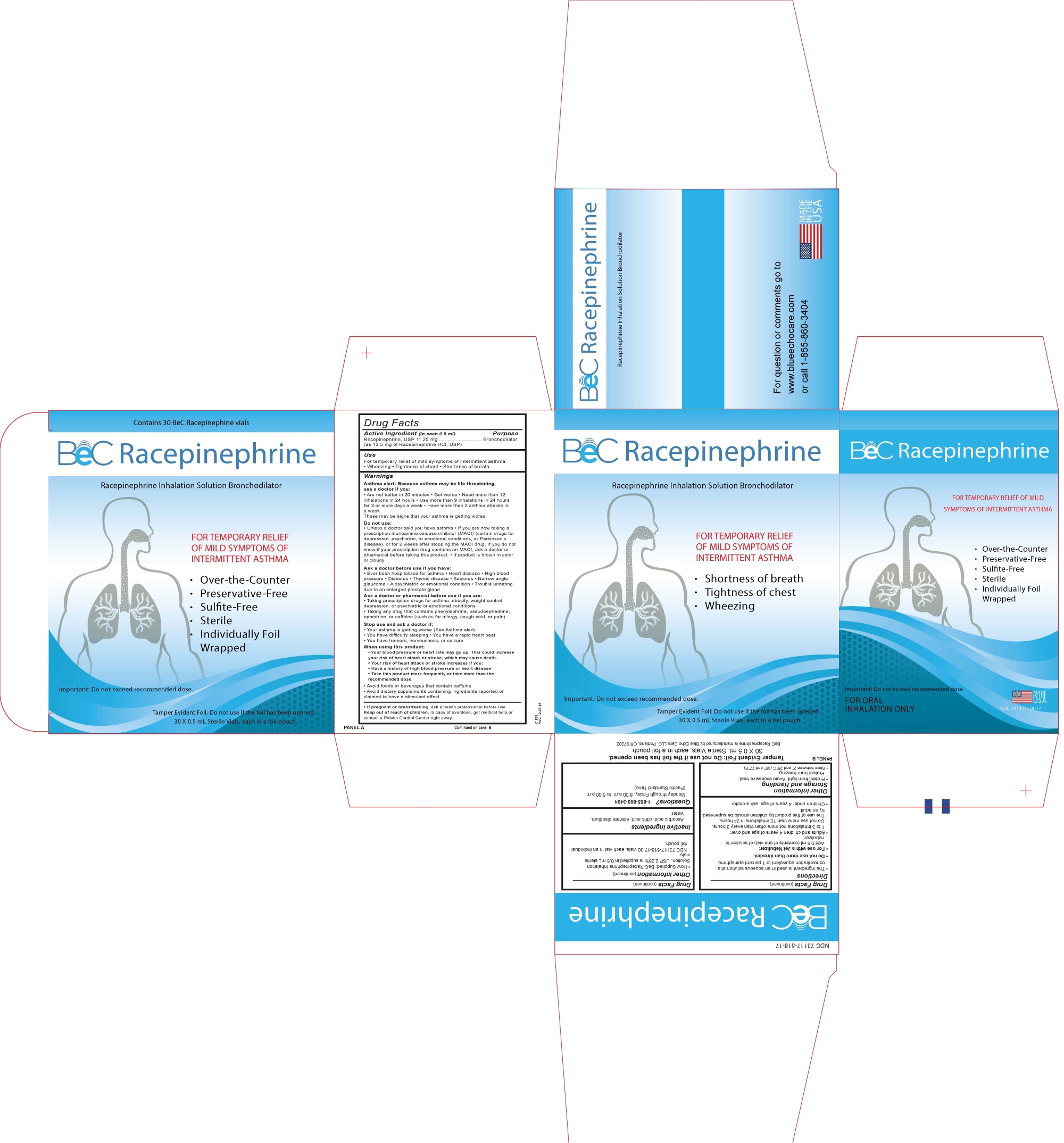 BeC Racepinephrine Carton Label