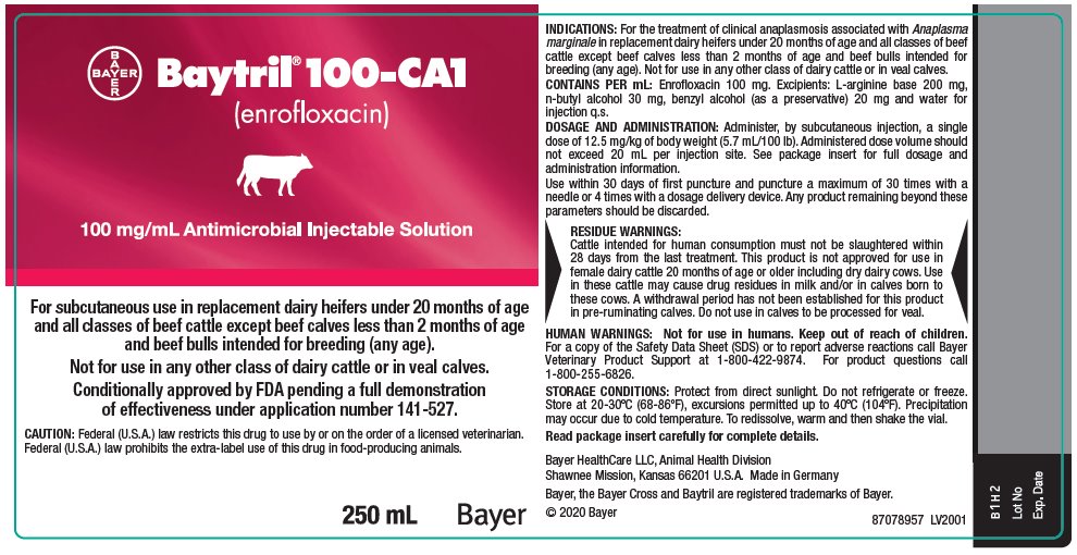 Baytril 100-CA1 (enrofloxacin) 100 mg/mL Antimicrobial Injectable Solution 250 mL Unit Label