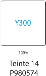 Y300