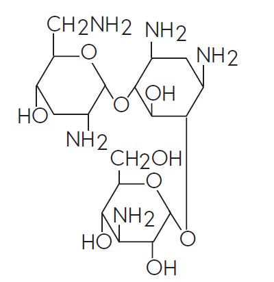 tobramycin-formula.jpg
