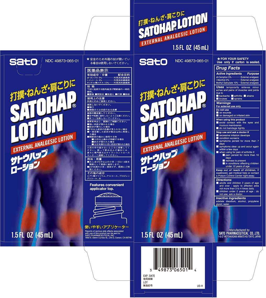 Satohap Lotion Carton