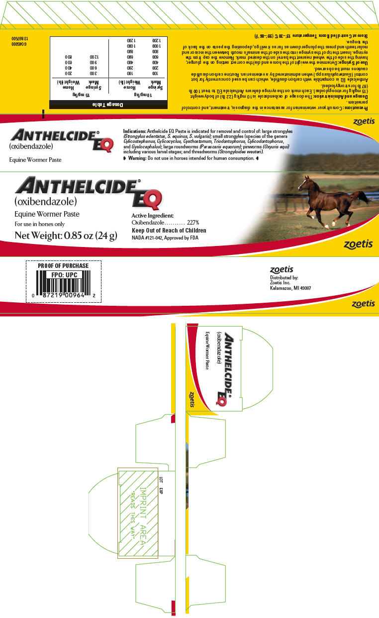 Principal Display Panel - 24 g Syringe Carton