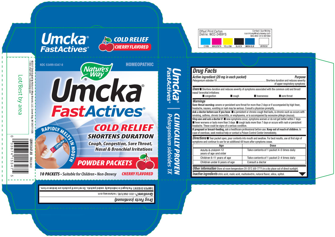 UMCKA 15347 CC Fastactives Cherry_03.jpg