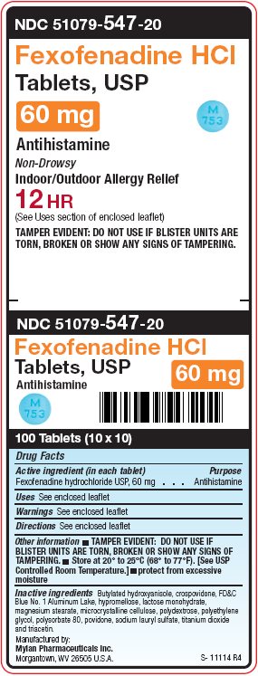 Fexofenadine Hydrochloride Tablets, USP 60 mg Carton Label