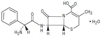 ceph-structur