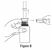 Figure B