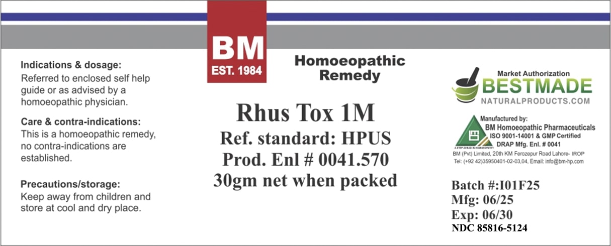 rhus tox