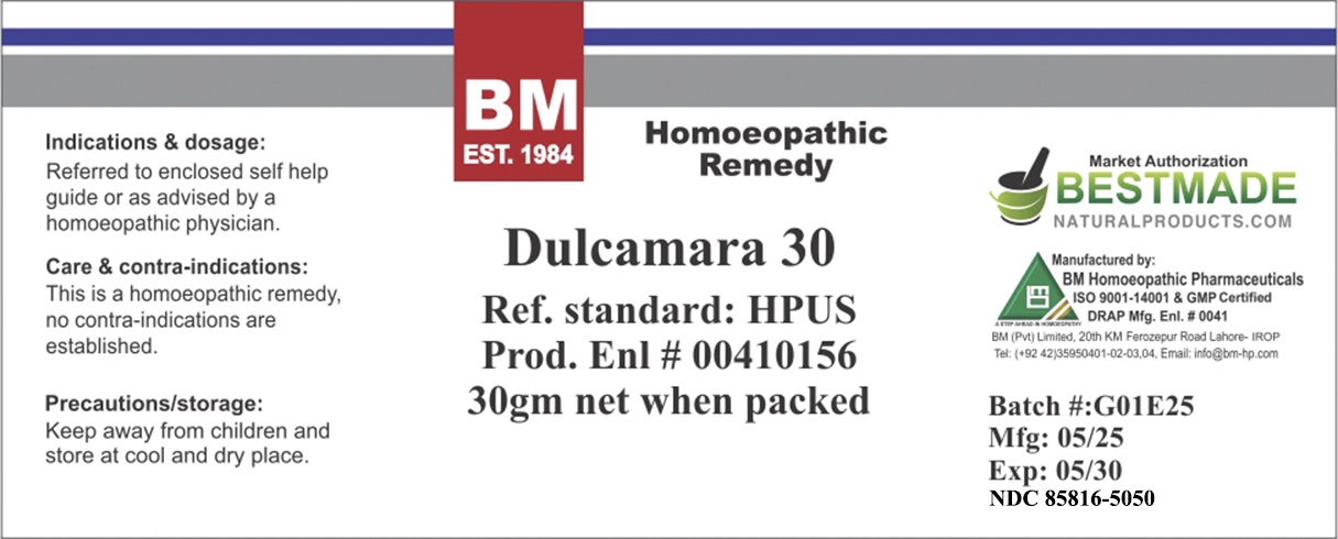 Dulcamara 30.jpg