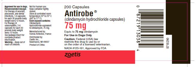 Antirobe Capsules 75 mg Label