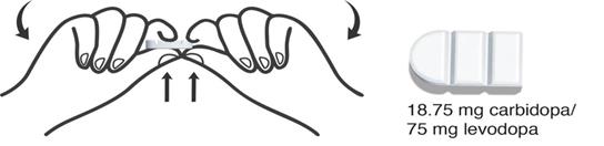 A picture containing diagram Description automatically generated