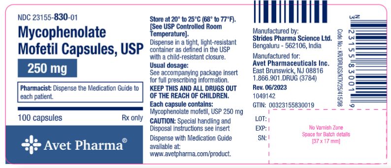 Capsules - 100s count