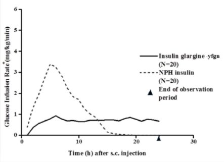 Glucose-Lowering Effect Over 24 Hours in Patients with Type 1 Diabetes