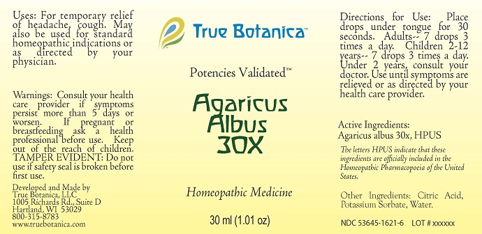Agaricus Albus 30X_30ml_V1